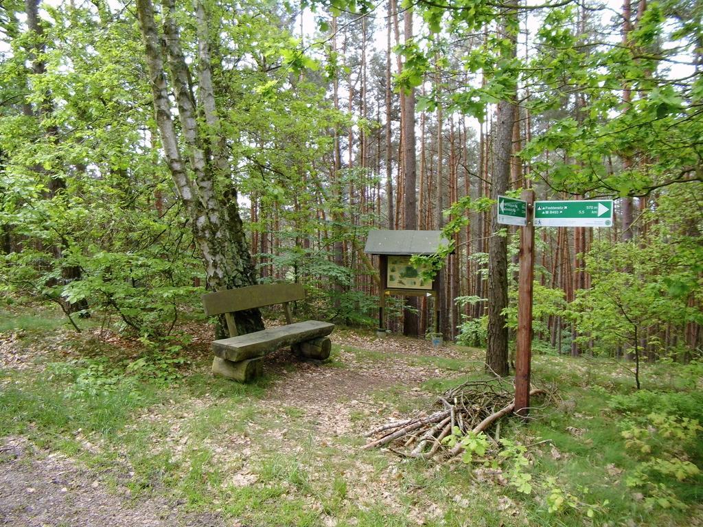 Hotel Steinhagen Damnatz Екстер'єр фото